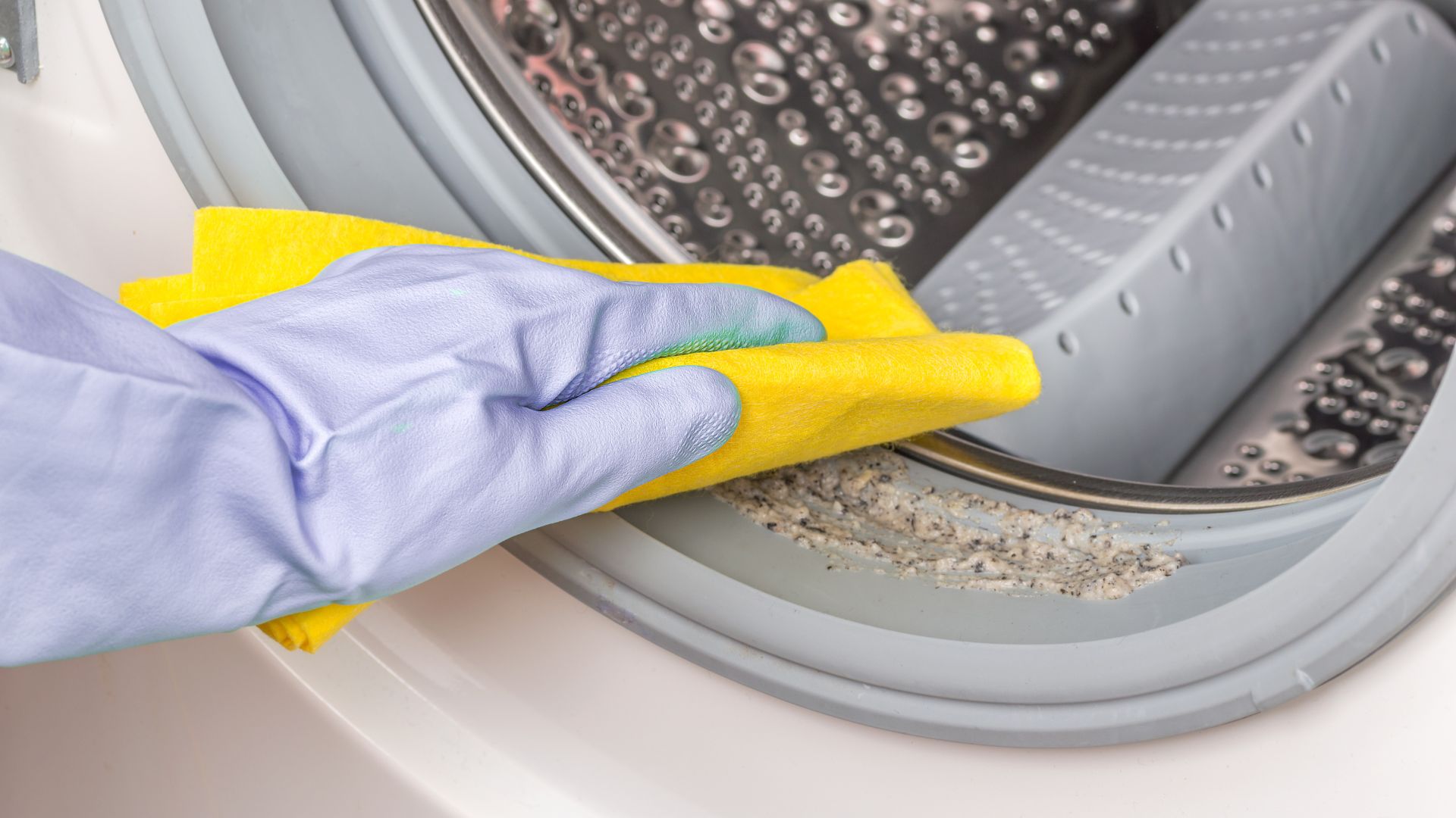 person cleaning mould of rubber seal of washing machine