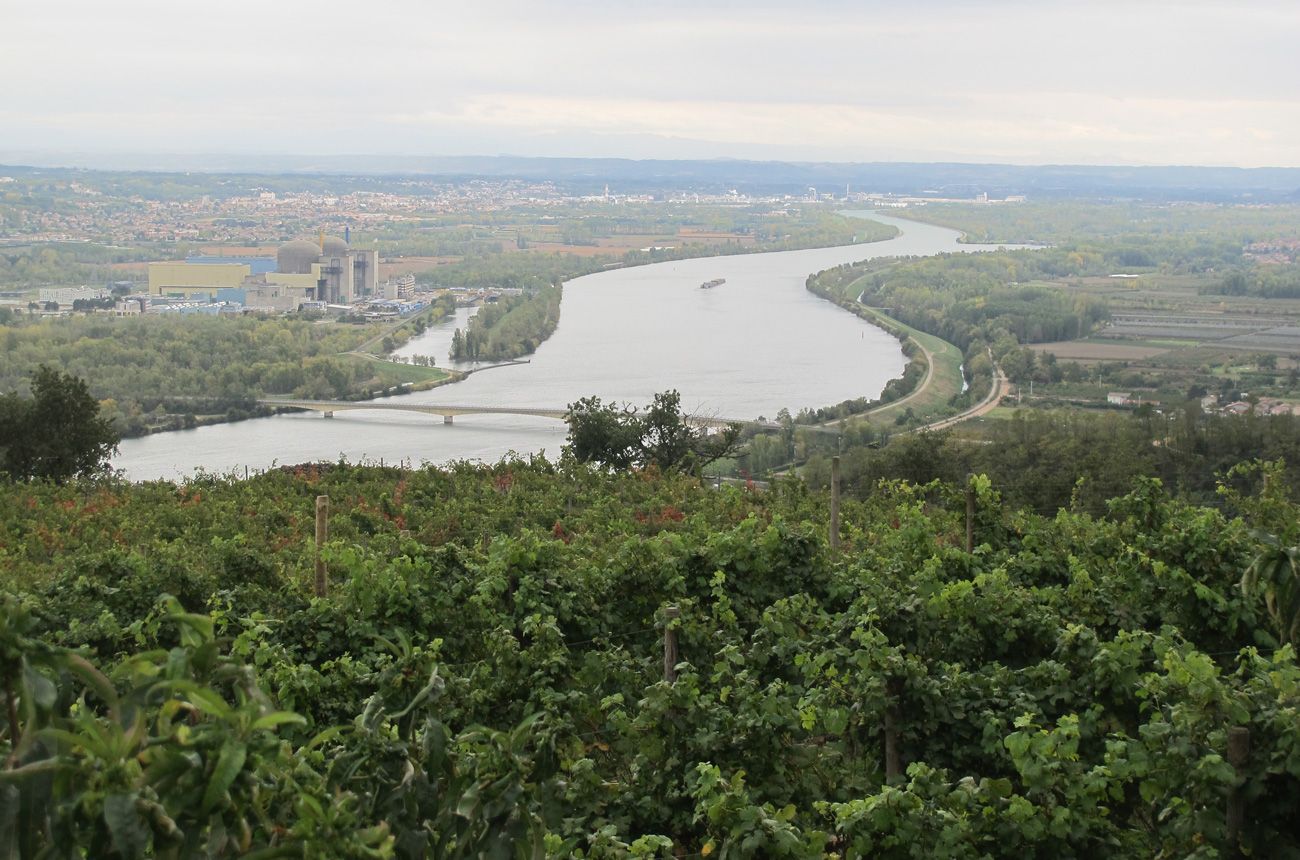 Rhone Innish The Rhône: The new south | Decanter