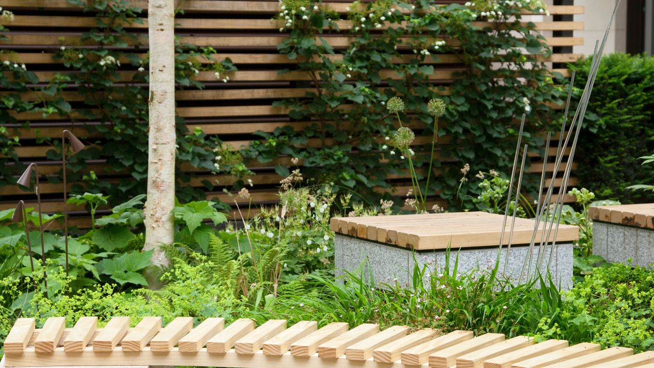 Wooden slatted garden bench in front of plants and wooden slatted garden panel screen with climbing plants