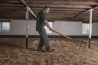 Warminster Maltings, Britain's oldest malting. Ploughing and turning and levelling the barley. ©Richard Cannon/Country Life Picture Library