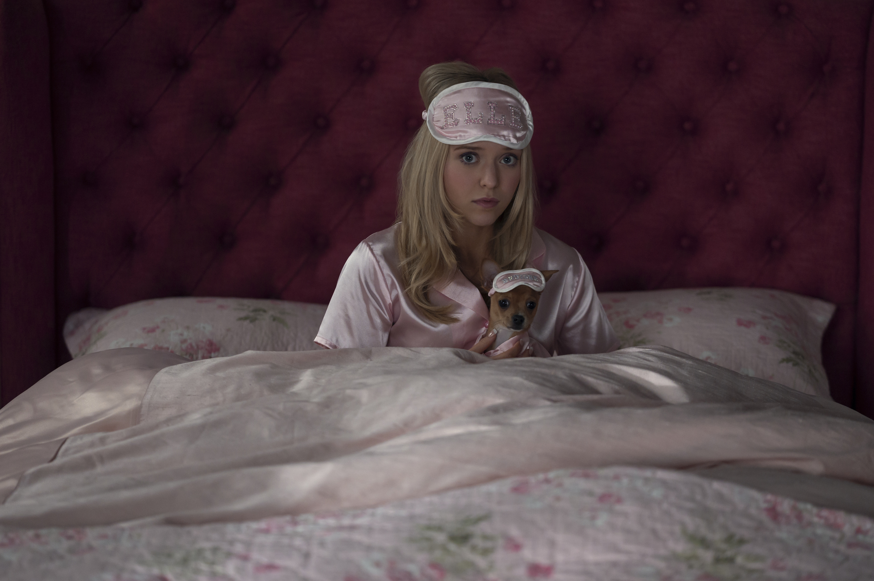 Lexi Minetree as elle woods lying in bed with an eye mask and her dog bruiser in an eye mask in the prequel series elle