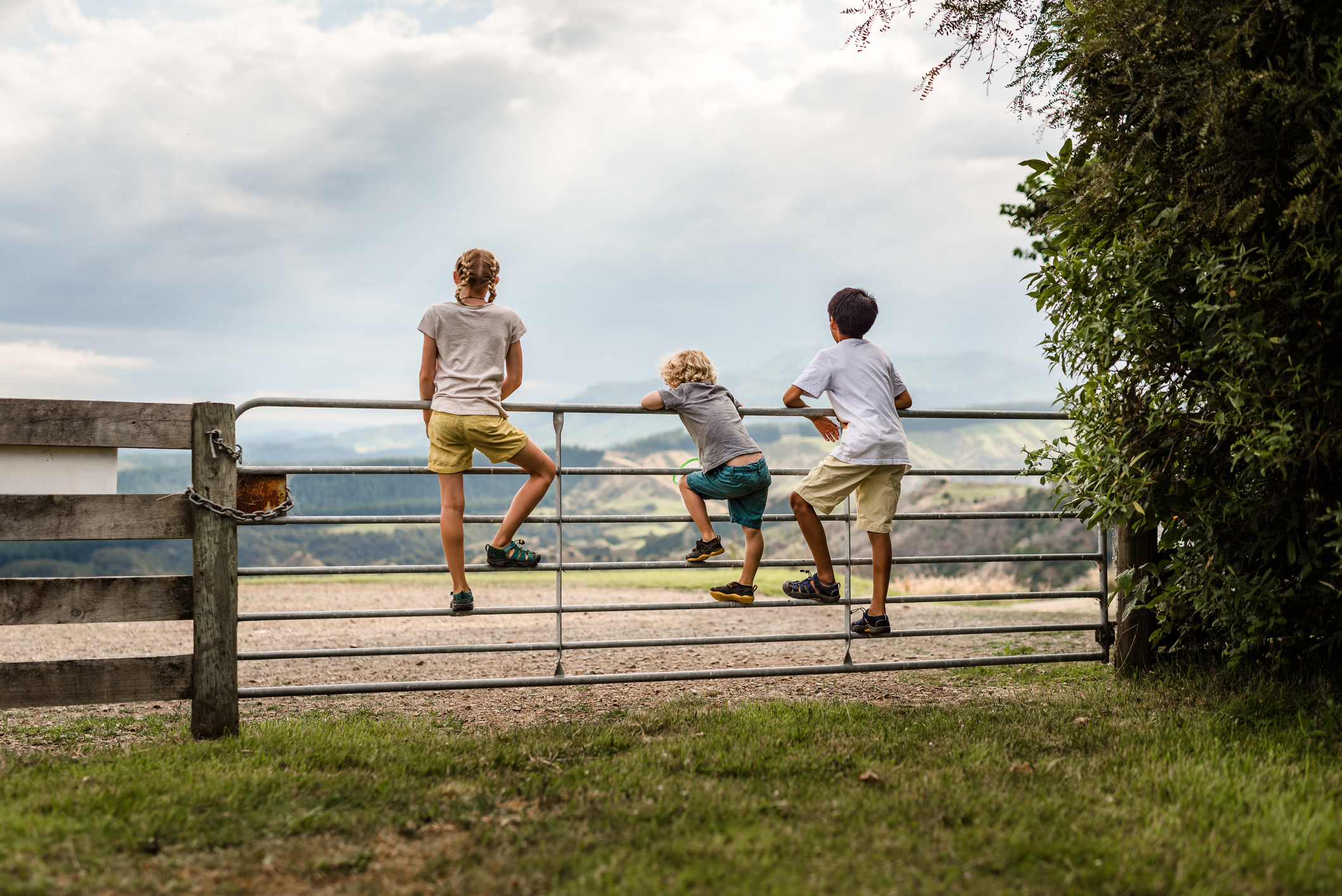 Back view of children on a country gate, admiring the mountain view beyond in New Zealand.