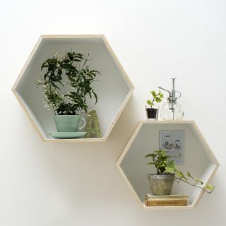 hexagonal shelves nailed to white wall holding house plants