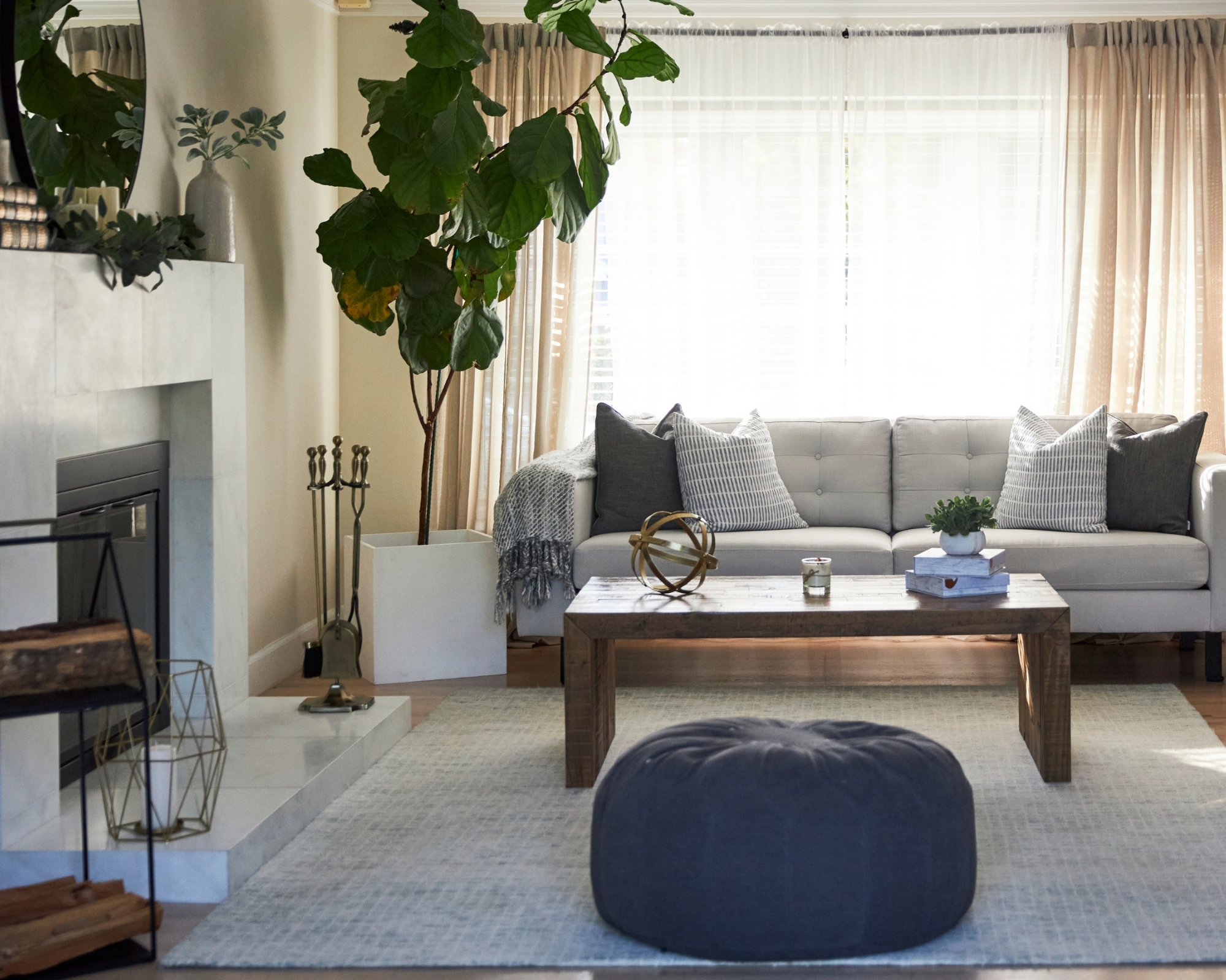 Modern bright living room with sofa, big plant, and light from window