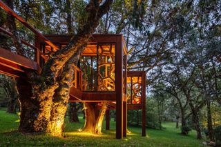 brazilian treehouse in dusk light