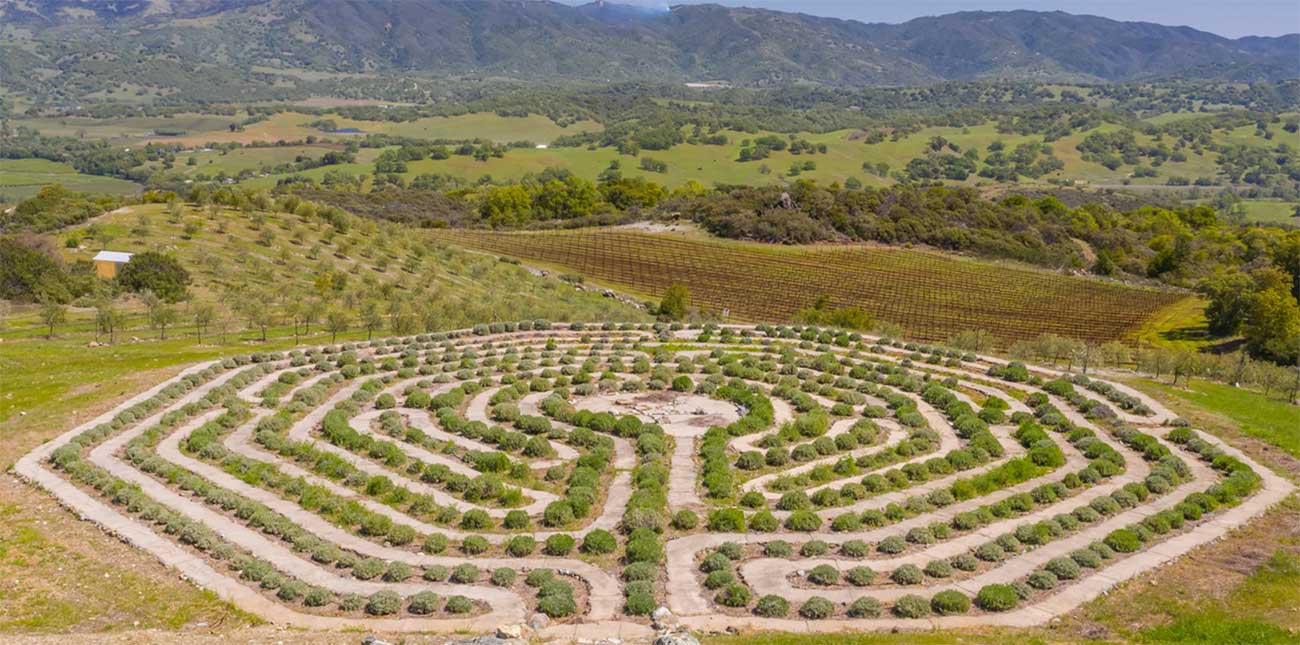 California vineyard sale, Sotheby's