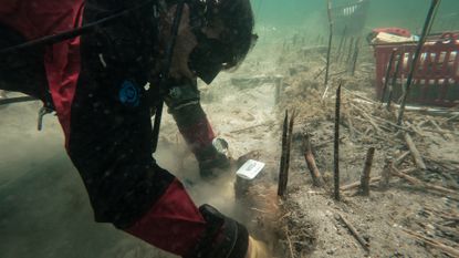 We see a diver at the lake floor, where there are lots of wooden sticks in the ground.