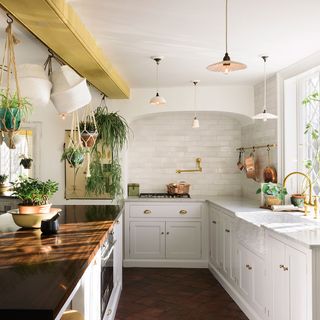 kitchen with white walls small plants and white counter top