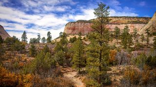 Hiking trail through Zion National Park