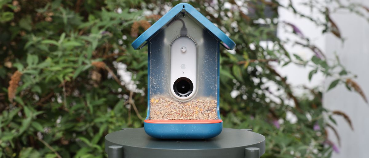 Bird buddy Smart Feeder in a garden