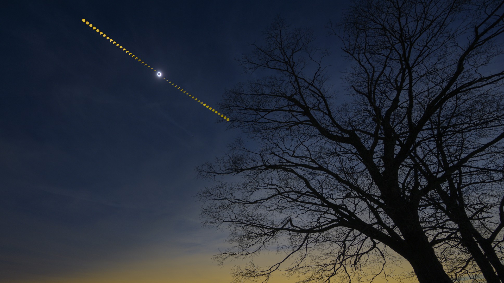 image of the phases of the total solar eclipse there is a tree in the foreground and a orange sky on the horizon.