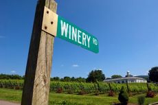 Barboursville Vineyards, Virginia wine