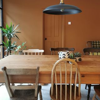 Terracotta lick dining room