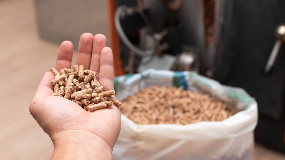 hand holding wood pellets with bag of them in background and blurred image of boiler