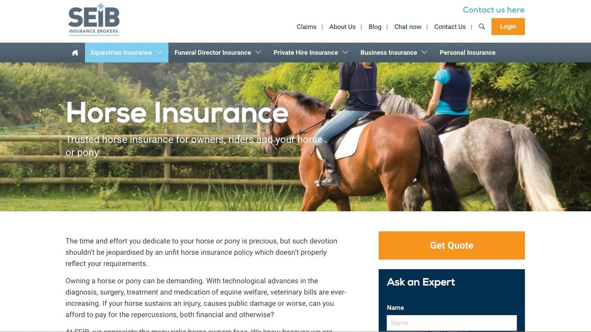 Get the best equine insurance for the most expensive friend in your