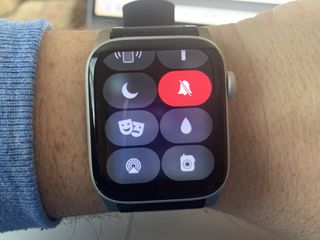 Apple Watch mute