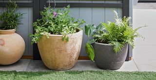 garden border with three large terracotta plants pots to support essential small garden tip