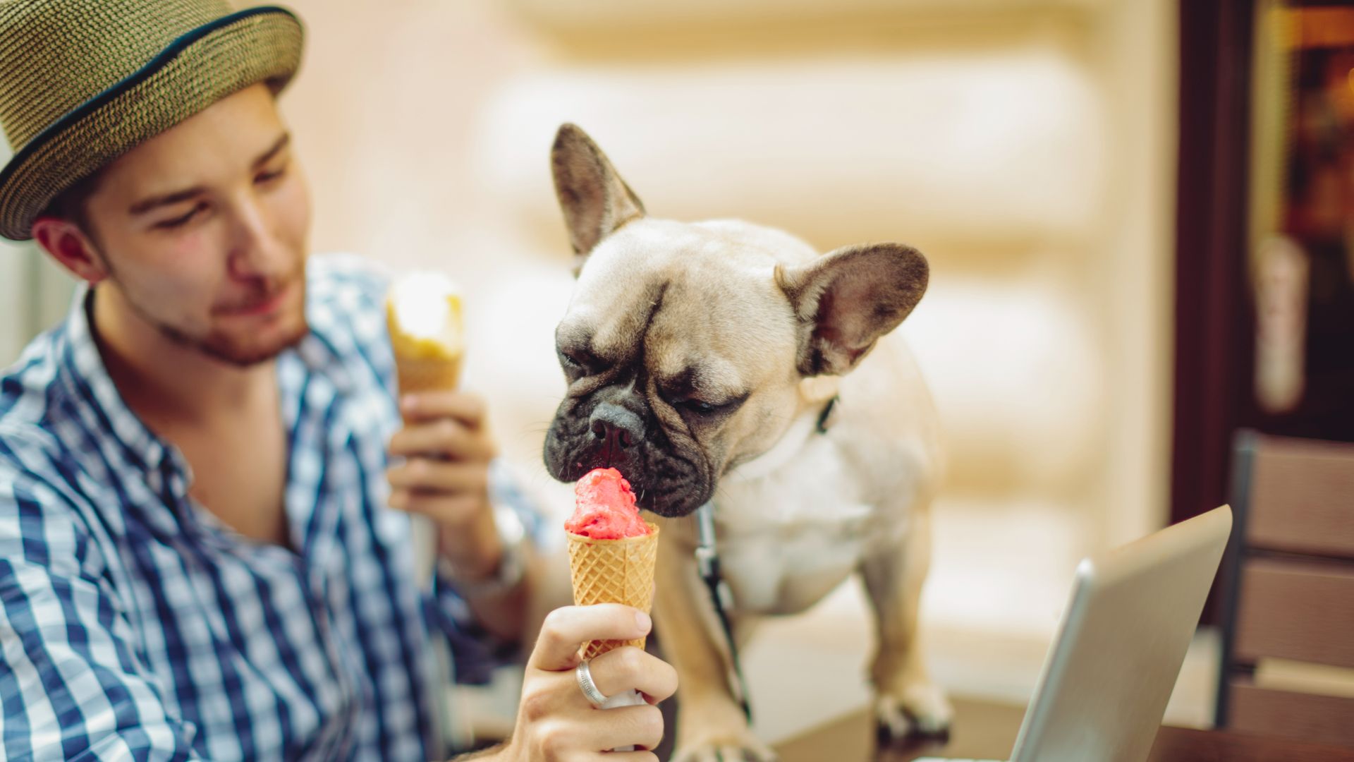 Owner sharing ice cream with his dog