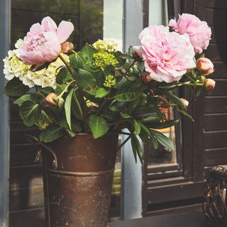 A vase of pink peonies on a windowsill