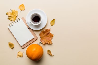 Autumn composition: fallen leaves and notebook mock up on colored background. Top view. 