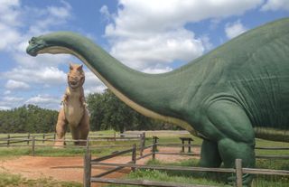 Dinosaur Valley State Park, Glen Rose, Texas, US
