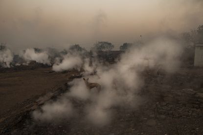 India has started monitoring its air pollution