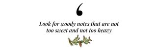 Quote that reads: "Look for woody notes that are not too sweet and not too heavy" with an illustration of a pine cone