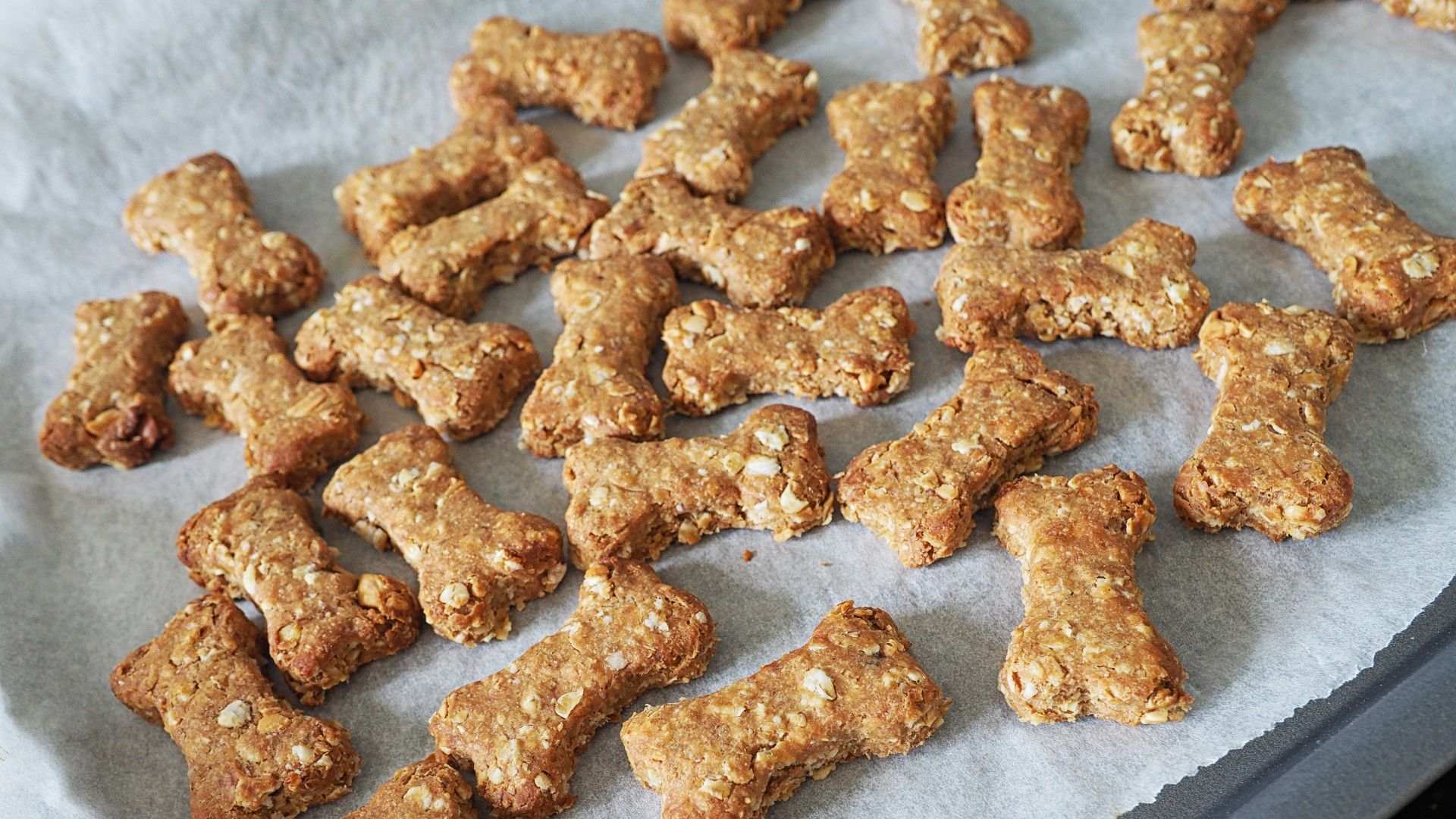 3 delicious diabetic dog treat recipes PetsRadar