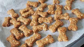 Dog treats on oven sheet made from one of the best diabetic dog treat recipes