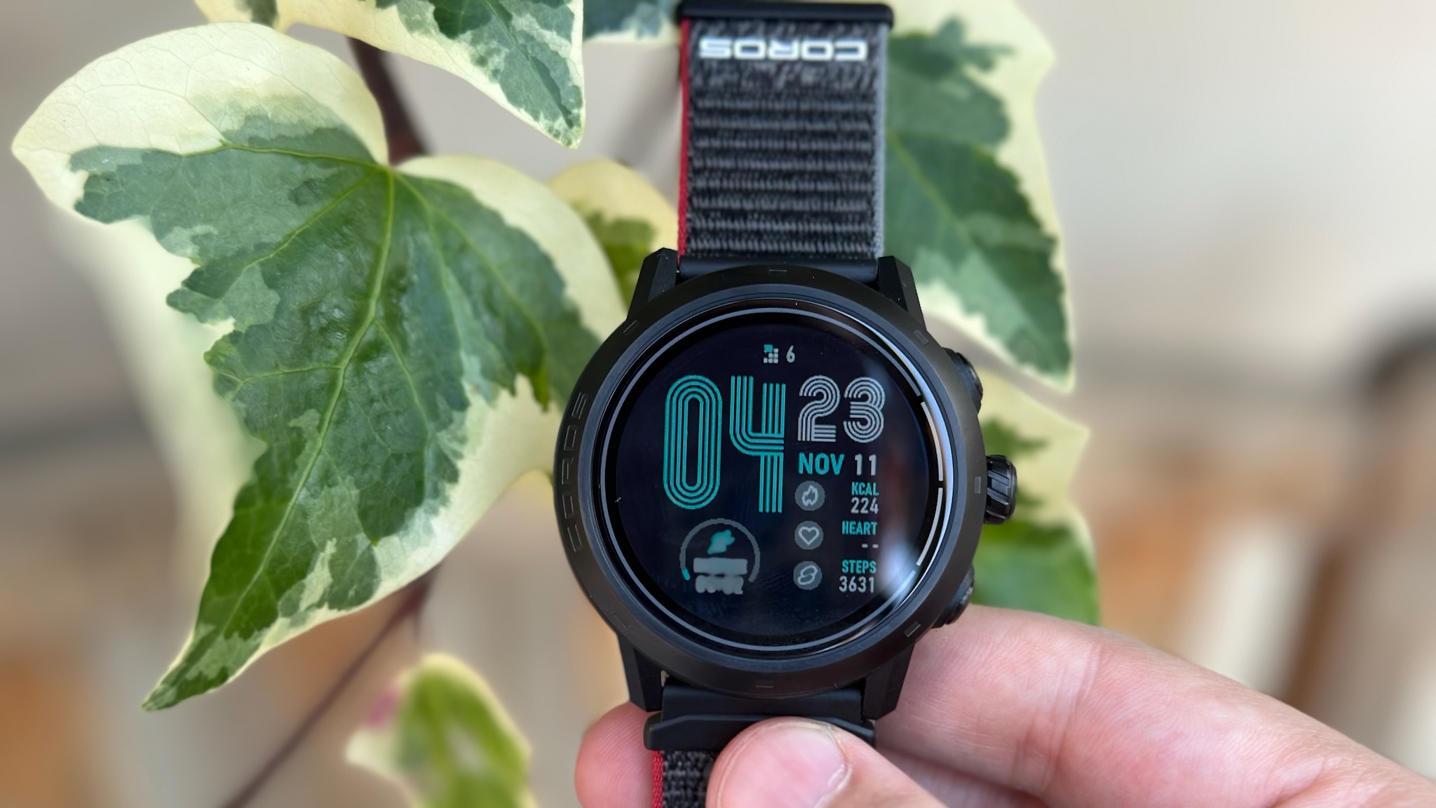 COROS APEX 2 Pro saat kadranı, adımlar ve yakılan kaloriler gibi günlük istatistikleri gösterir.