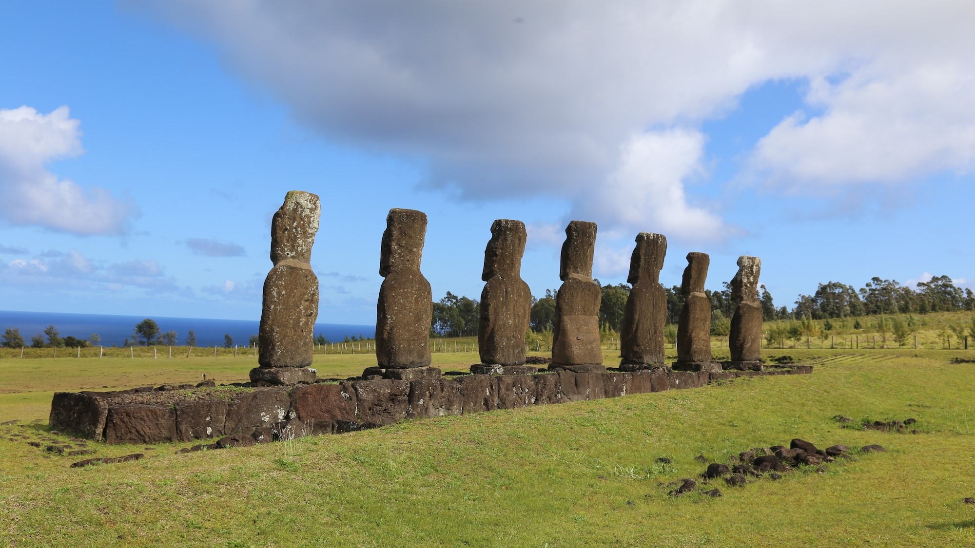 a row of moai statues facing out to the ocean.