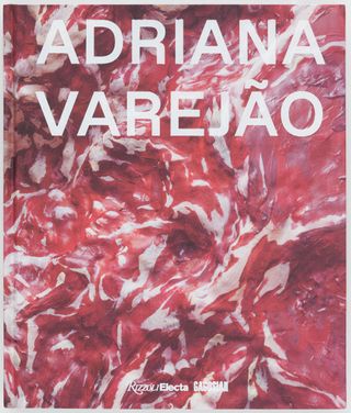 Adriana Varejão book