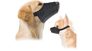 Dogs wearing muzzles