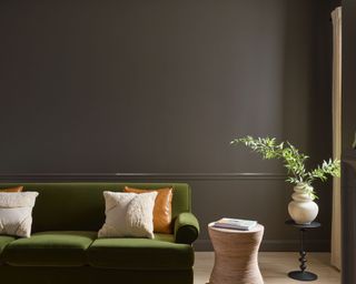 living room with dark brown wall, green sofa with neutral cushions and plant of table