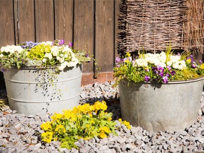  Planter Filler