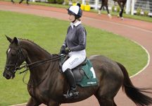Denman2.jpg