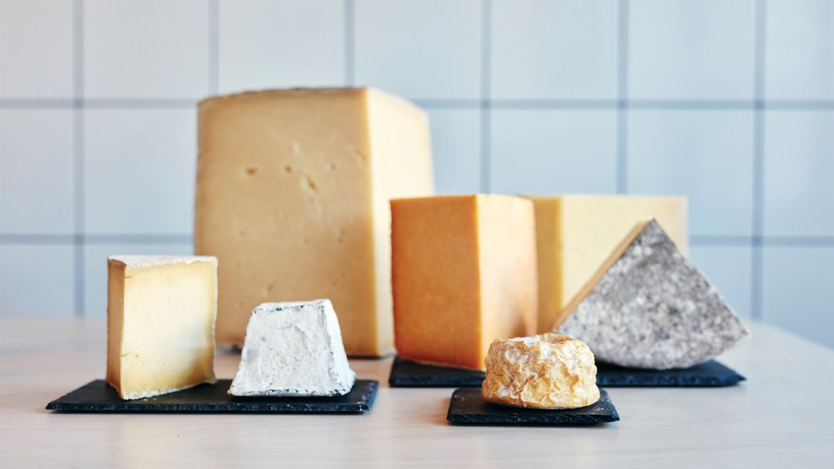 Can you freeze cheese? Image of different types of cheeses