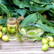 neem oil with neem fruits and leaves on table