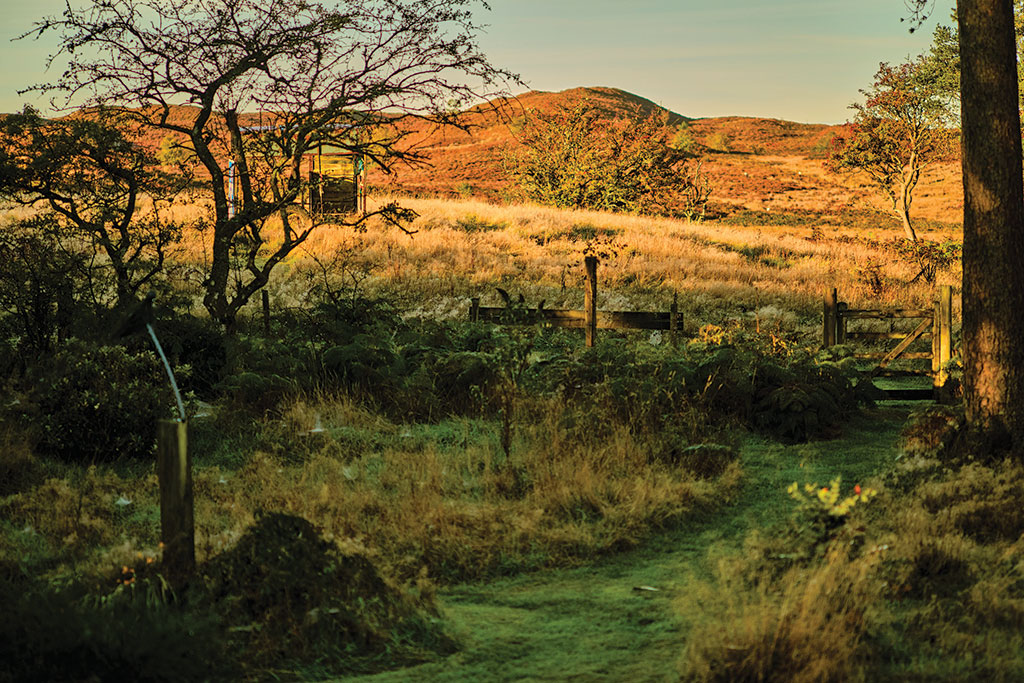 Property for sale with wildlife meadows: Bwlch Coch, Llanwrthwl, Powys. 