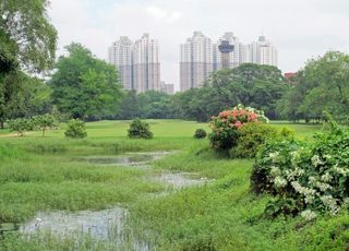 The fifth hole at Royal Calcutta - a superb city-centre course