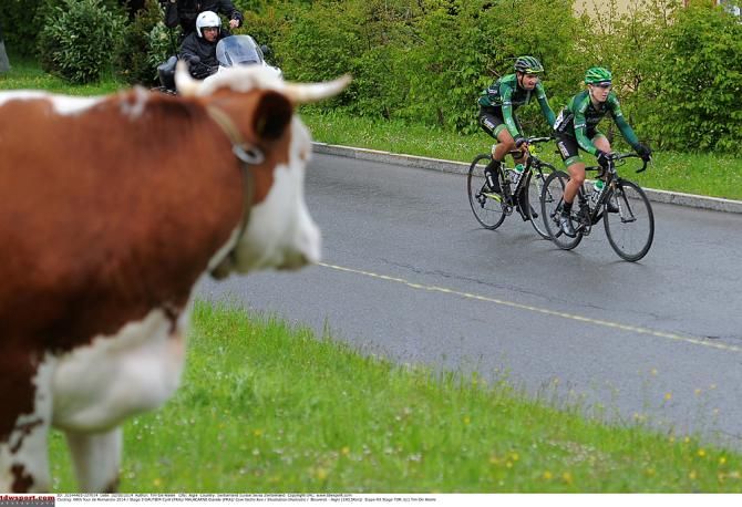 The local wildlife watches the race action in Tour de Romandie