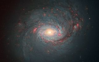 Andre van der Hoeven (Netherlands) combined different datasets in the archives of the Hubble Space Telescope to create this stunning image of spiral galaxy Messier 77.