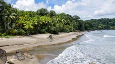 beach in Choc&oacute;