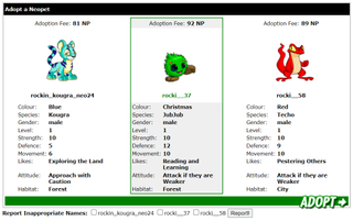 Instead of creating new pets, players can opt to adopt "abandoned" Neopets from the The Neopian Pound.