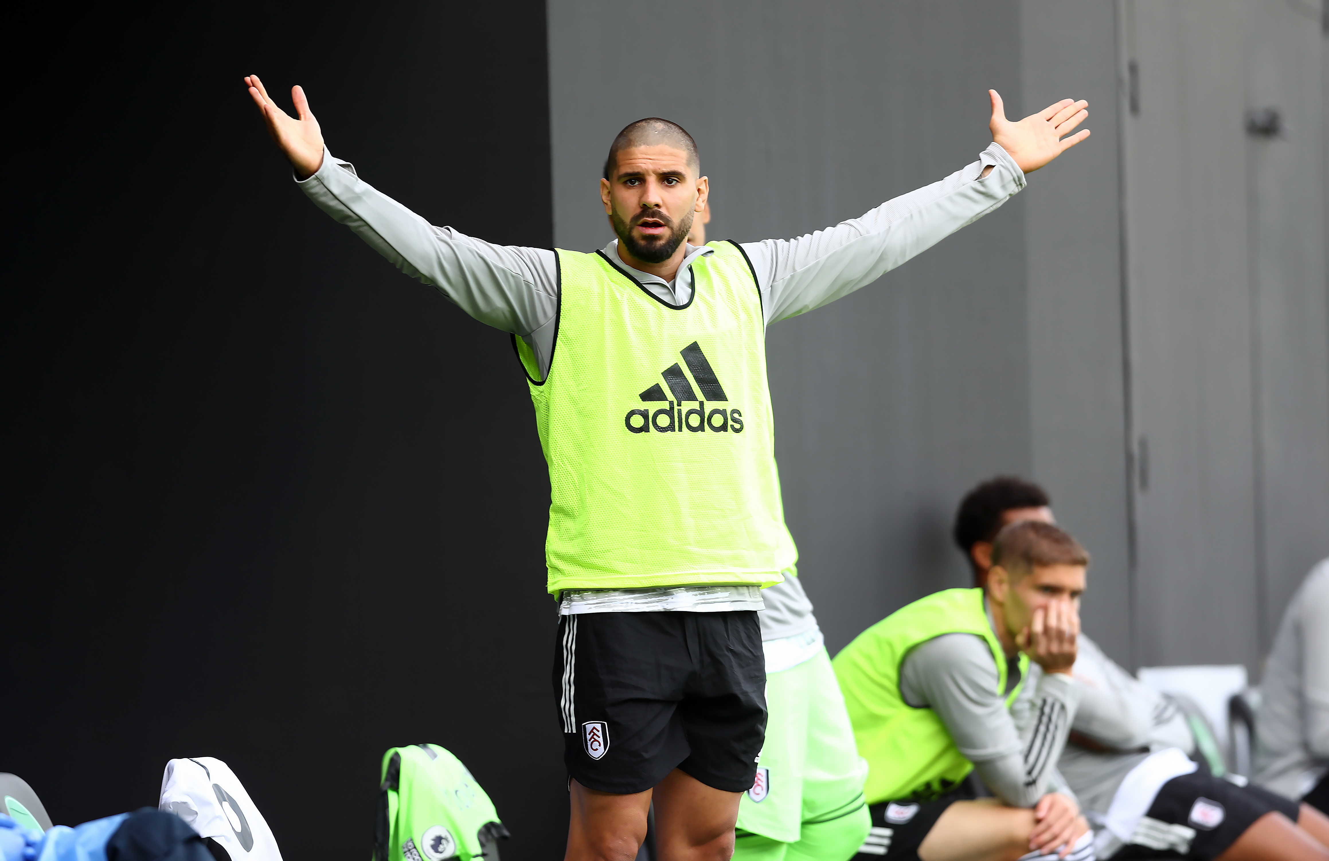 Fulham’s Aleksandar Mitrovic appeals to the linesman during the Premier League match at Craven Cottage, London