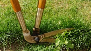 shears trimming edge of lawn