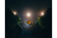 Pinot Noir at Midnight by Heather Daenitz, the winner of the Errazuriz Wine Photographer of the Year 2025 award