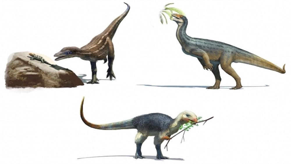 An artist&#039;s interpretation of a trio of dinosaurs. 