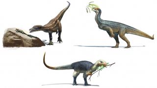 An artist's interpretation of a trio of dinosaurs. 
