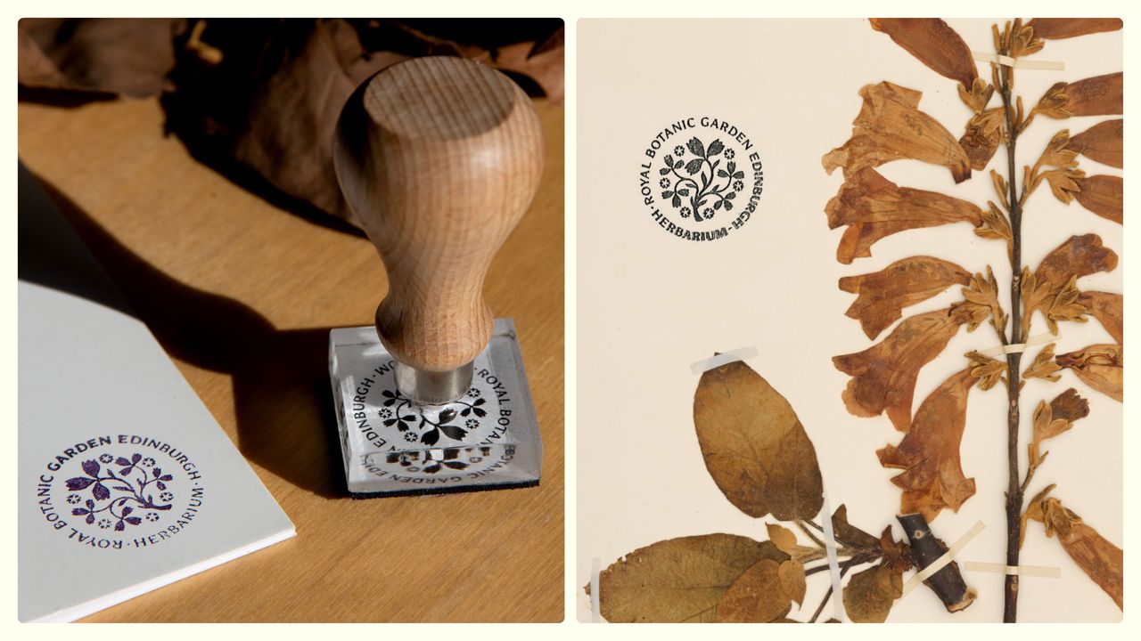Royal Botanic Garden of Edinburgh branding
